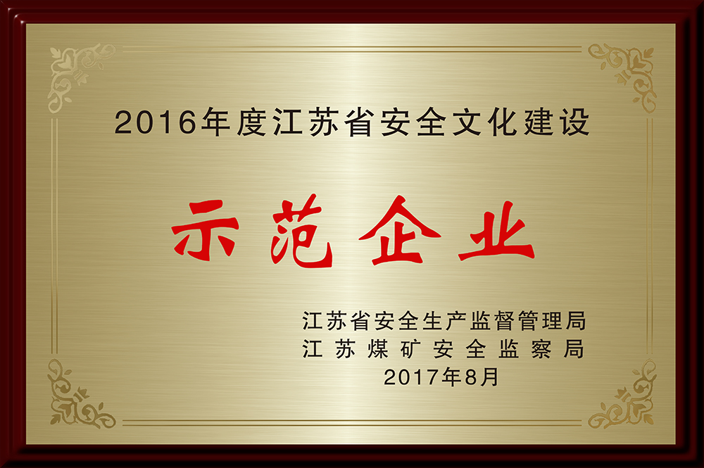 2016年度江苏省安全文化建设